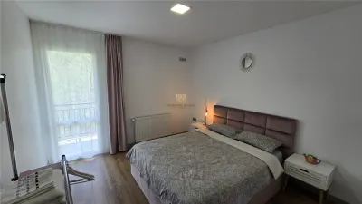 Hotel/Pensiune Vatra Dornei - poza 15