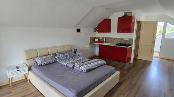 Hotel/Pensiune Vatra Dornei - poza 16