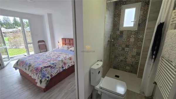 Hotel/Pensiune Vatra Dornei - poza 18