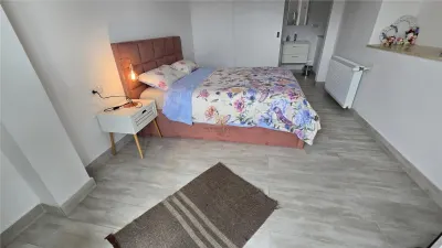 Hotel/Pensiune Vatra Dornei - poza 19