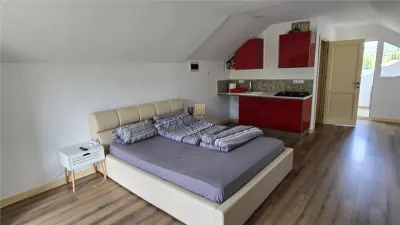 Hotel/Pensiune Vatra Dornei - poza 22
