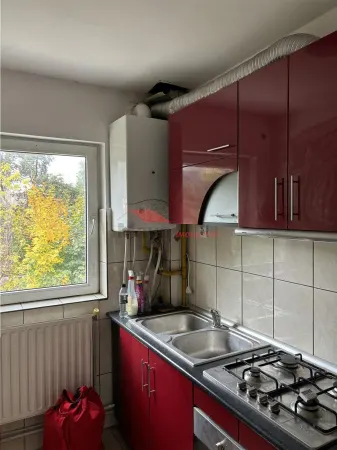 Apartament 1 camera Bistrița - poza 11