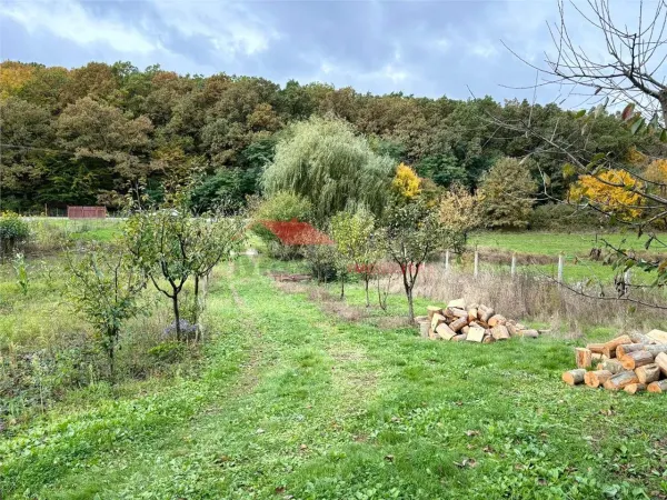 Casă 3 camere Figa - poza 6