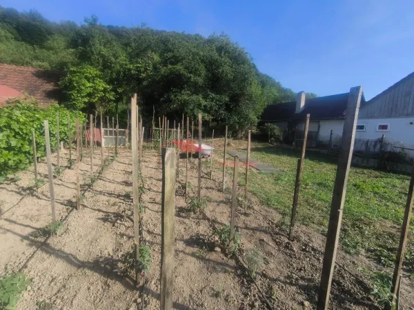 Teren Chirales - poza 1