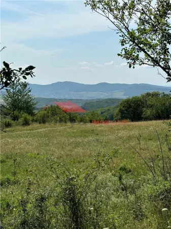 Teren Bistrița - poza 5