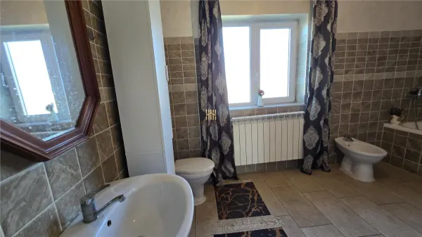 Casă 7 camere Rusii-Manastioara - poza 6