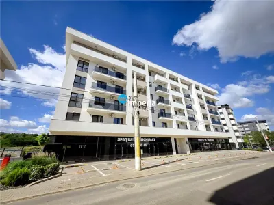 Apartament 1 camera Iași - poza 2
