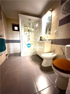 Casă 5 camere Lunca Cetățuii - poza 12