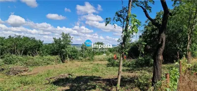 Teren Aroneanu - poza 3