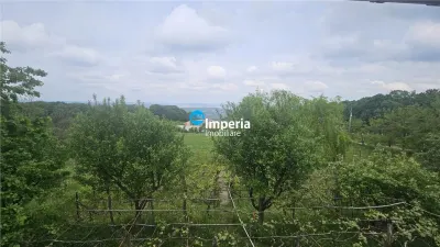 Casă 3 camere Iași - poza 3
