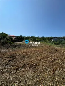 Teren Iași - poza 3