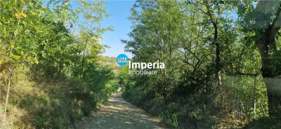 Teren Iași - poza 6