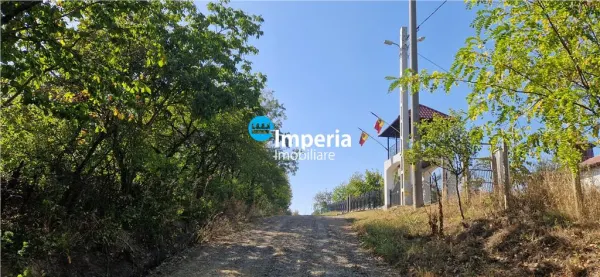 Teren Iași - poza 8