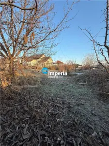Teren Iași - poza 3