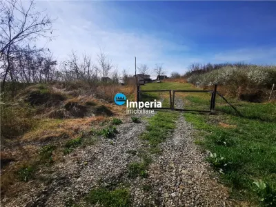 Teren Hlincea - poza 6