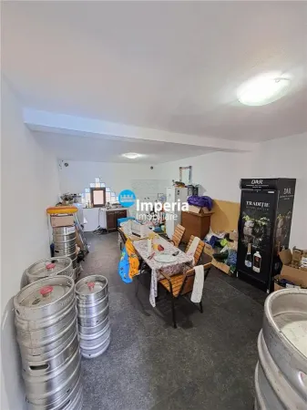 Hotel/Pensiune Lunca Cetățuii - poza 8