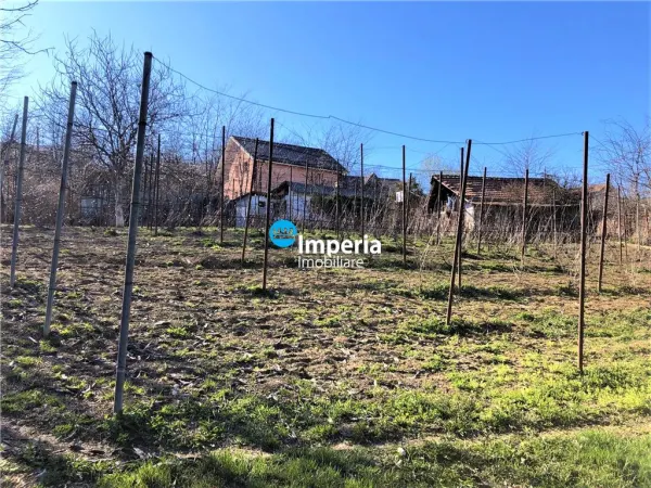 Teren Iași - poza 4
