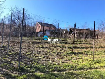 Teren Iași - poza 4