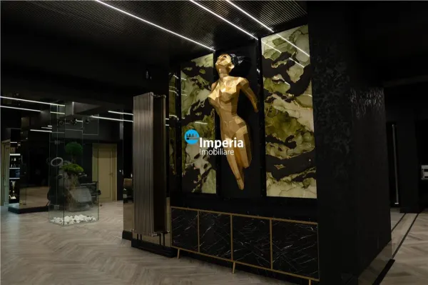Spațiu comercial Iași - poza 8