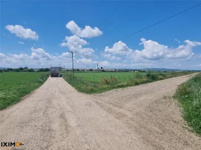 Teren Arabil 2.75 Ha - Serbesti