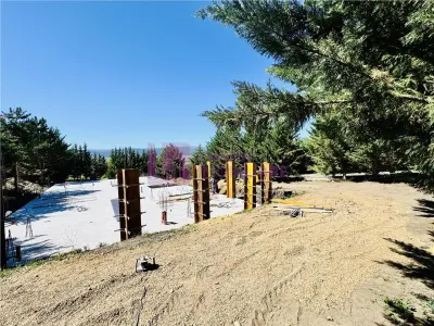 Apartament 3 camere Cristian - poza 6
