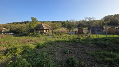 Casă 2 camere Mociu - poza 4