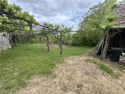 Casă 2 camere Nucet - poza 2