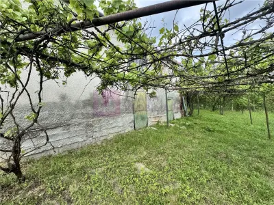 Casă 2 camere Nucet - poza 3