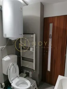 Apartament 2 camere București - poza 13