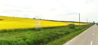 Teren București - poza 1