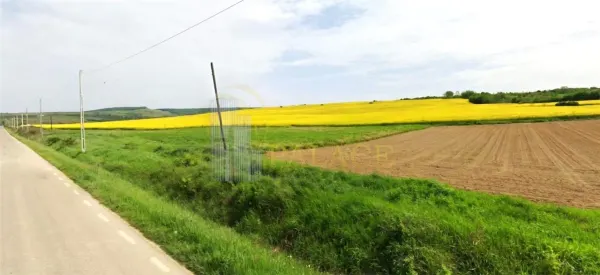 Teren București - poza 2