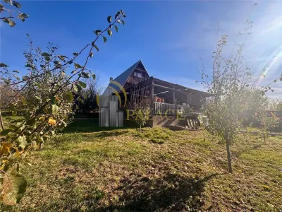Casă 3 camere Bârnova - poza 2