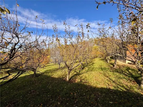Casă 3 camere Bârnova - poza 6