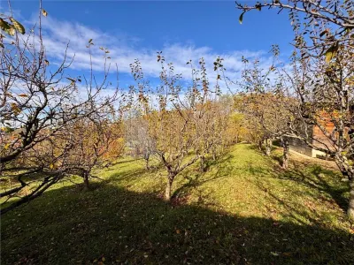 Casă 3 camere Bârnova - poza 6
