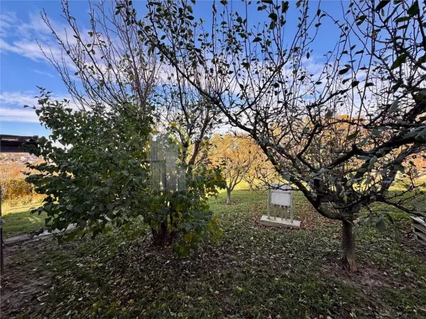 Casă 3 camere Bârnova - poza 8