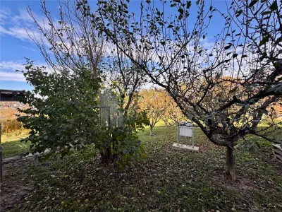 Casă 3 camere Bârnova - poza 8