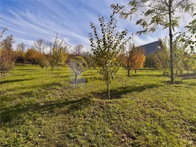 Casă 3 camere Bârnova - poza 9