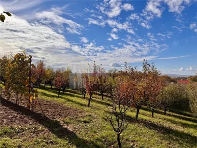 Casă 3 camere Bârnova - poza 10