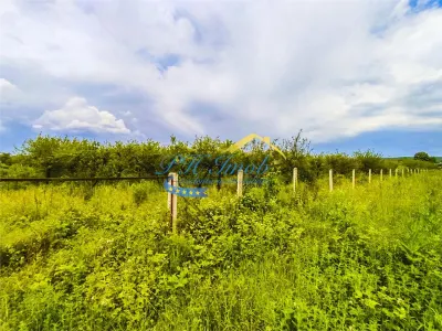 Teren Băicoi - poza 1