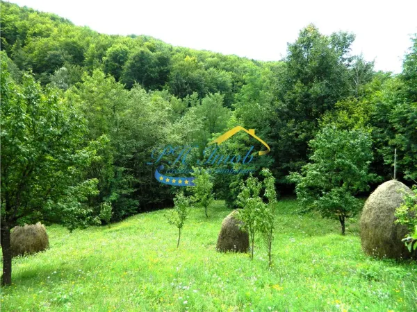 Teren Brebu - poza 4