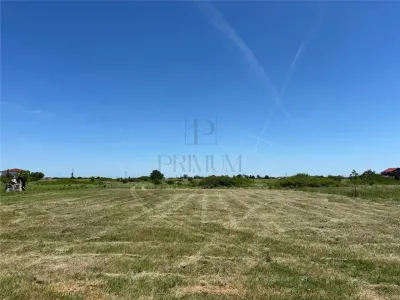Teren Moșnița Nouă - poza 2