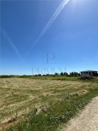 Teren Moșnița Nouă - poza 3
