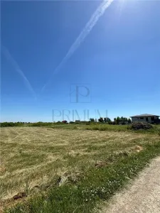 Teren Moșnița Nouă - poza 3
