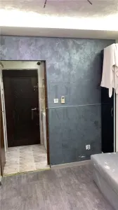 Apartament 1 camera Timișoara - poza 5