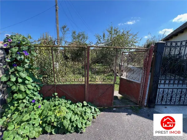 Casă 3 camere Vidrasau - poza 2