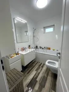 Casă 3 camere Moșnița Nouă - poza 7
