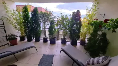 Apartament 3 camere Timișoara - poza 10