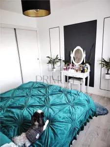 Apartament 3 camere Timișoara - poza 12
