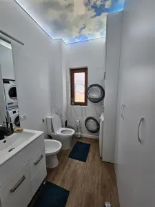 Casă 5 camere Moșnița Nouă - poza 12