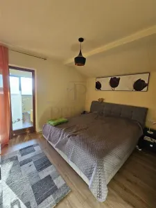 Casă 5 camere Moșnița Nouă - poza 8